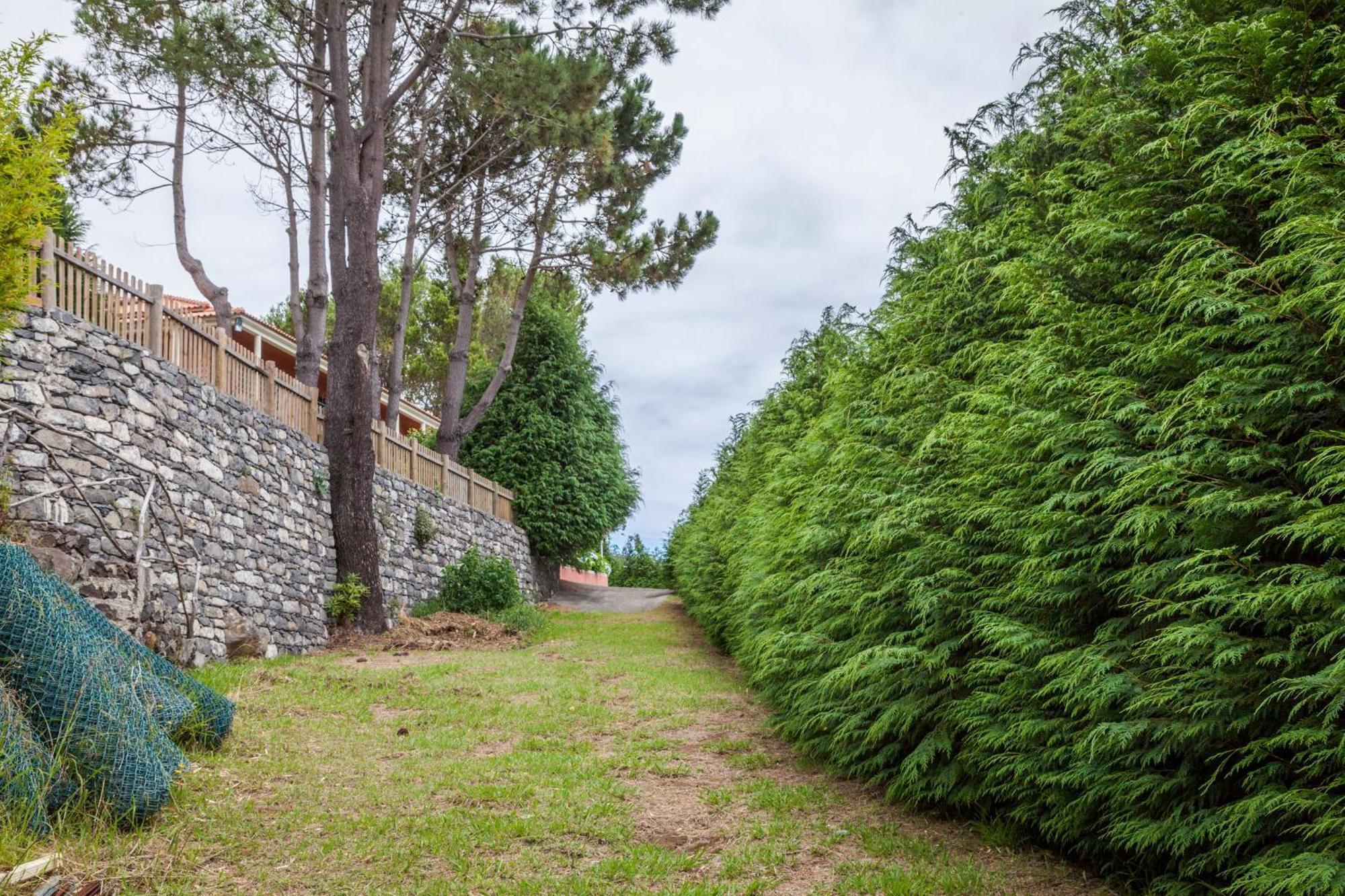 Quinta Do Santo By Lovelystay Santo Antonio da Serra Екстериор снимка
